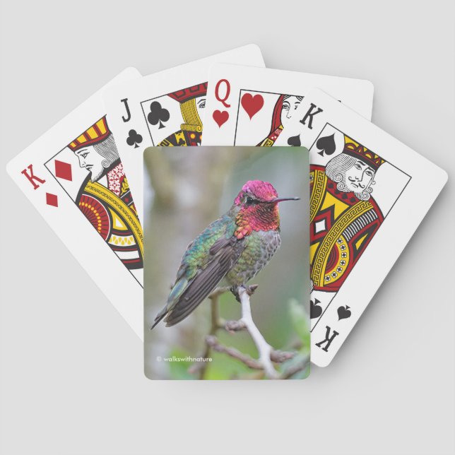 Stunning Male Anna's Hummingbird on the Plum Tree Poker Cards (Back)