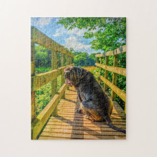 Stunning Neapolitan Mastiff Jigsaw Puzzle