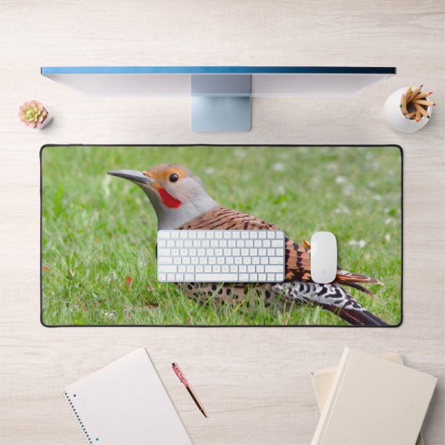 Stunning Northern Flicker Foraging in the Grass Desk Mat (Office 1)