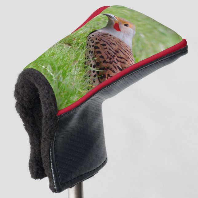 Stunning Northern Flicker Foraging in the Grass Golf Head Cover (3/4 Front)