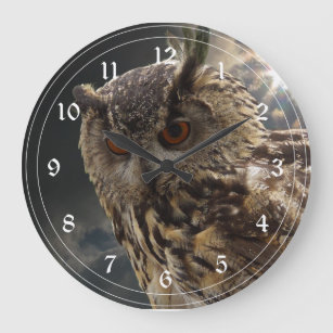 Stunning Owl Photography Series Large Clock