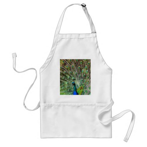 Stunning Peacock  and feathers photo accessories Adult Apron