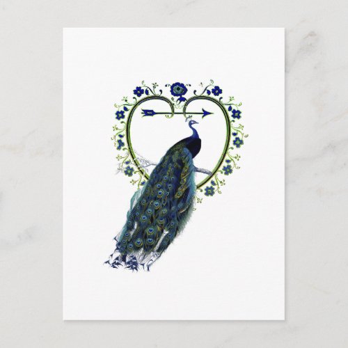 Stunning Peacock and ornate heart flower frame Postcard