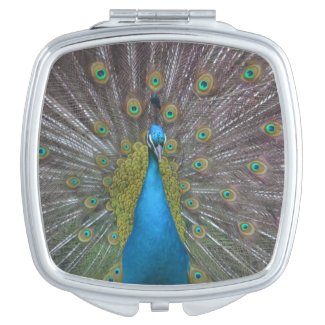 Stunning Peacock Compact Mirror
