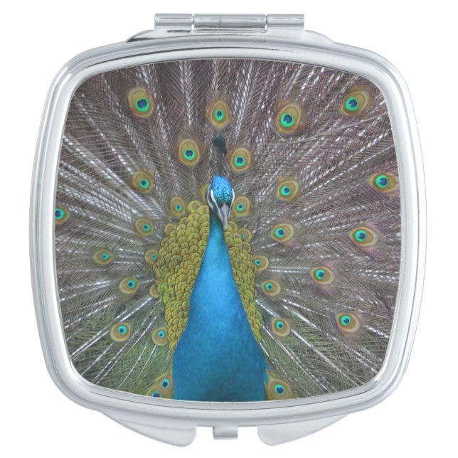Stunning Peacock Compact Mirror (Front)