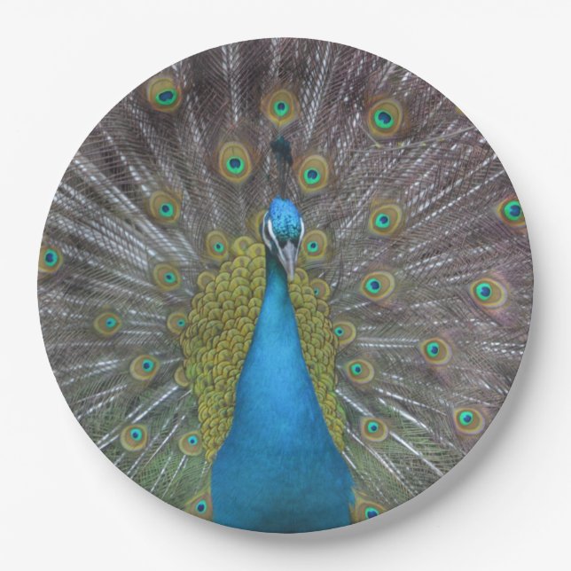 Stunning Peacock Paper Plates (Front)