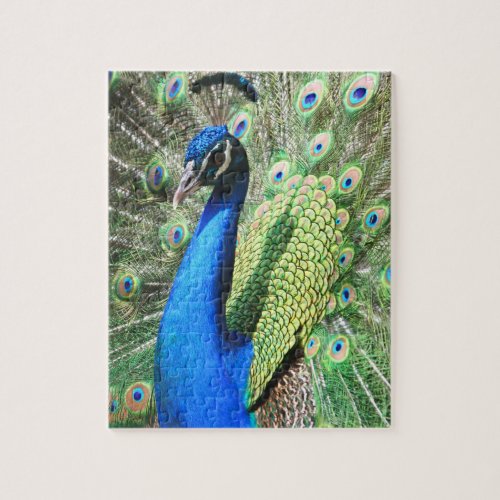 Stunning Peacock Photo Jigsaw Puzzle
