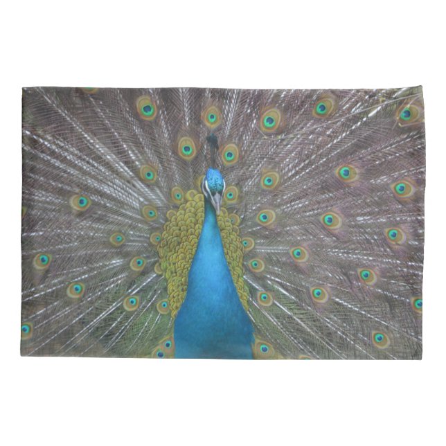 Stunning Peacock Pillow Case (Back)