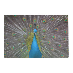 Stunning Peacock Placemat
