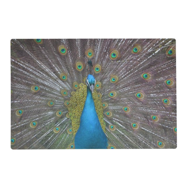 Stunning Peacock Placemat (Front)
