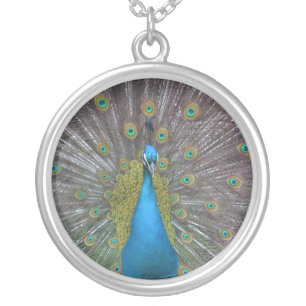 Stunning Peacock Silver Plated Necklace