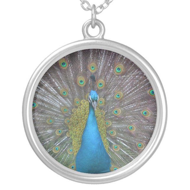 Stunning Peacock Silver Plated Necklace (Front)