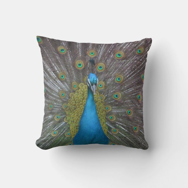 Stunning Peacock Throw Pillow (Front)