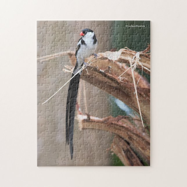 Stunning Pin-Tailed Whydah Songbird Jigsaw Puzzle (Vertical)