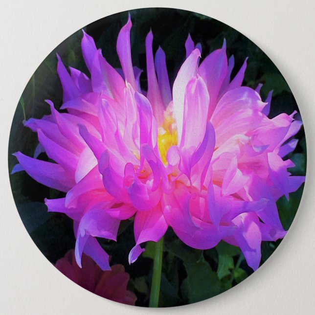 Stunning Pink and Purple Cactus Dahlia Button (Front)