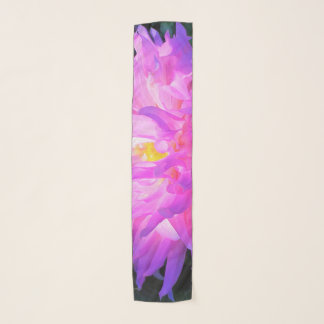 Stunning Pink and Purple Cactus Dahlia Scarf
