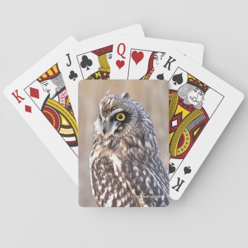 Stunning Portrait of a Short_Eared Owl Poker Cards