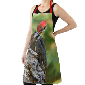 Stunning Portrait of Pileated Woodpecker on Tree Apron