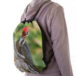 Stunning Portrait of Pileated Woodpecker on Tree Drawstring Bag