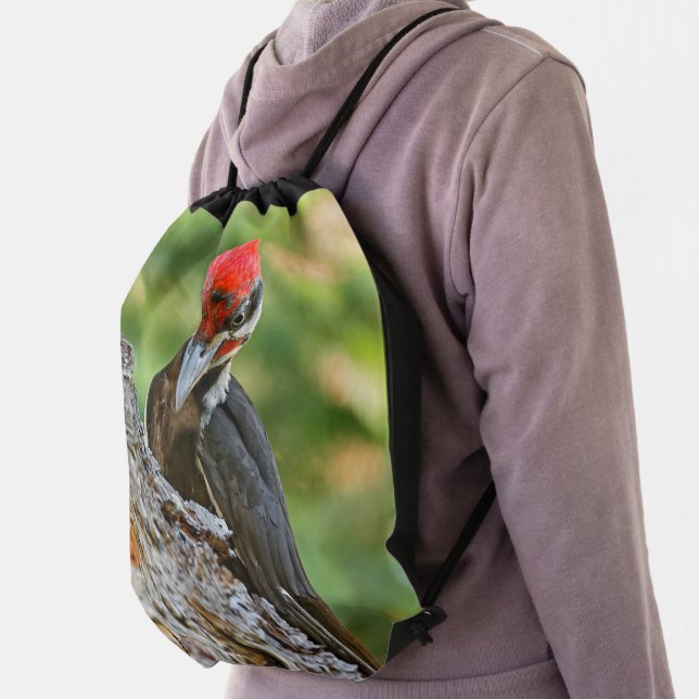 Stunning Portrait of Pileated Woodpecker on Tree Drawstring Bag (Insitu)