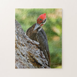 Stunning Portrait of Pileated Woodpecker on Tree Jigsaw Puzzle