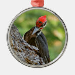 Stunning Portrait of Pileated Woodpecker on Tree Metal Ornament