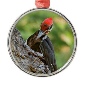 Stunning Portrait of Pileated Woodpecker on Tree Metal Ornament