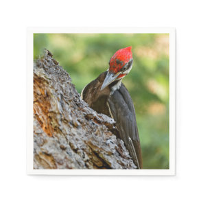 Stunning Portrait of Pileated Woodpecker on Tree Napkins