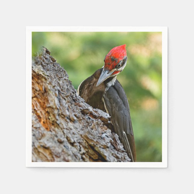 Stunning Portrait of Pileated Woodpecker on Tree Napkins (Front)