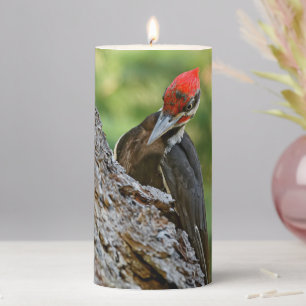 Stunning Portrait of Pileated Woodpecker on Tree Pillar Candle