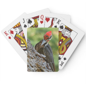 Stunning Portrait of Pileated Woodpecker on Tree Poker Cards
