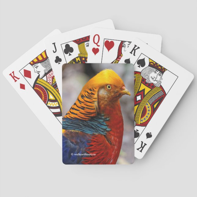 Stunning Profile of a Red Golden Pheasant Gamebird Poker Cards (Back)