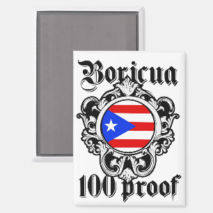 Stunning Puerto Rico Boricua  Taino Vintage Logo Magnet