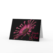 Stunning Purple African Daisy Thank You