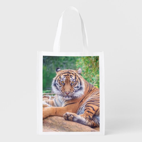 Stunning Reclining Tiger Photograph Grocery Bag