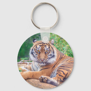 Stunning Reclining Tiger Photograph Keychain