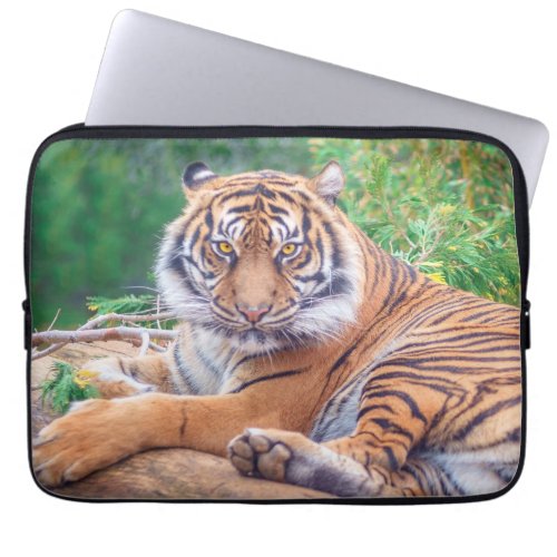 Stunning Reclining Tiger Photograph Laptop Sleeve