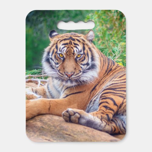 Stunning Reclining Tiger Photograph Seat Cushion