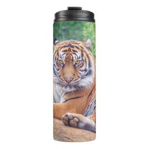 Stunning Reclining Tiger Photograph Thermal Tumbler