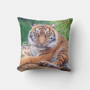Stunning Reclining Tiger Photograph Throw Pillow