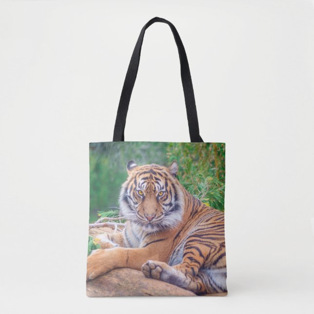 Stunning Reclining Tiger Photograph Tote Bag (Front)