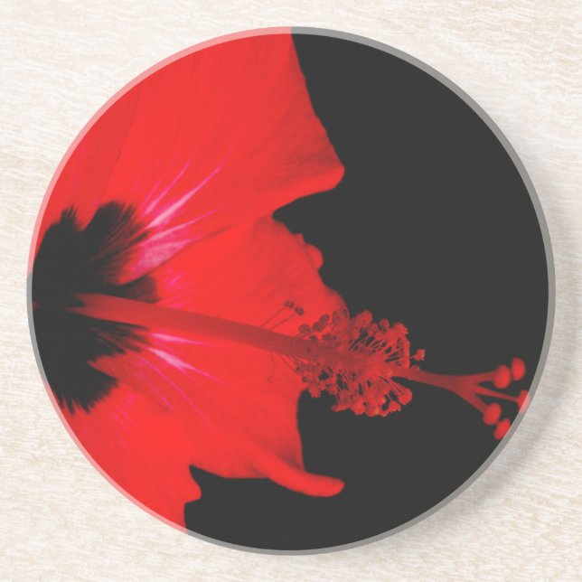 Stunning Red Flower Drink Coaster (Front)