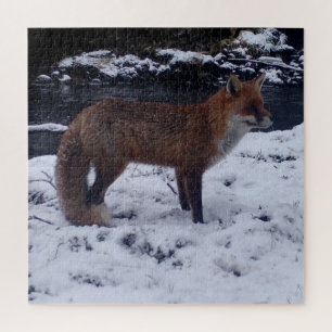 Stunning Red Fox in Snow Natural Winter Wildlife  Jigsaw Puzzle