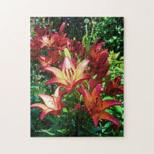 Stunning Red Orange Asiatic Lilies Flowers Jigsaw Puzzle