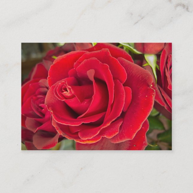 Stunning red rose business card (Front)