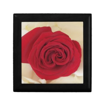 Stunning Red Rose Memory Keepsake Box by KathyHenis at Zazzle