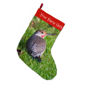 Stunning Red-Shafted Northern Flicker Woodpecker Large Christmas Stocking