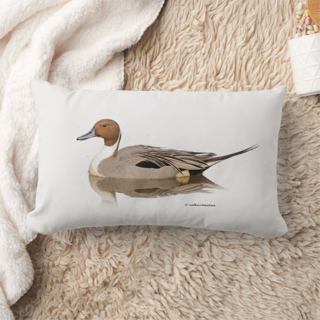Stunning Reflections of a Northern Pintail Duck Lumbar Pillow (Blanket)