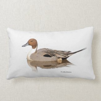 Stunning Reflections of a Northern Pintail Duck Lumbar Pillow