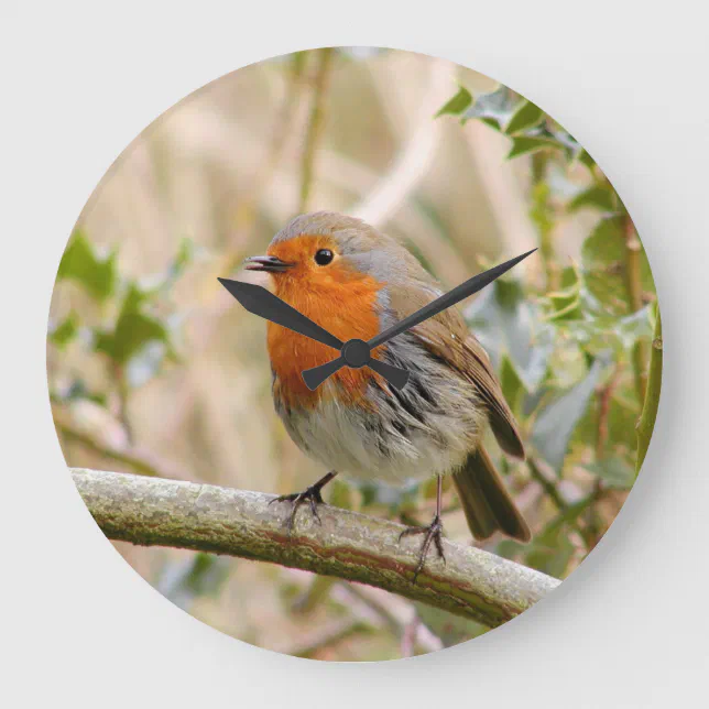 Stunning Robin Large Clock | Zazzle